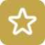 icon-star